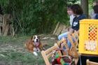 thumbs/bilder vom beachvolleyballplatz 033.jpg